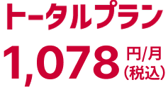 トータルプラン 1,078円