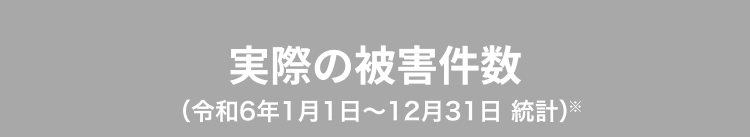 実際の被害件数（令和6年1月1日〜12月31日 統計）※